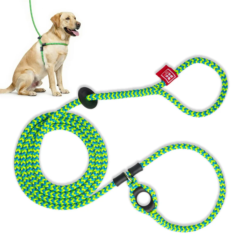 Harness Lead Harnais Anti-Tirage et Laisse – Confort et Sécurité (M/L, Turquoise-Bleu-Lime)