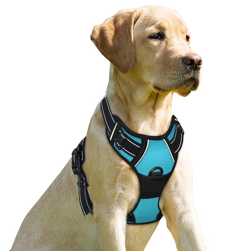 BARKBAY Harnais anti-tirage pour chien — Attache-frontale, taille L, bleu réfléchissant