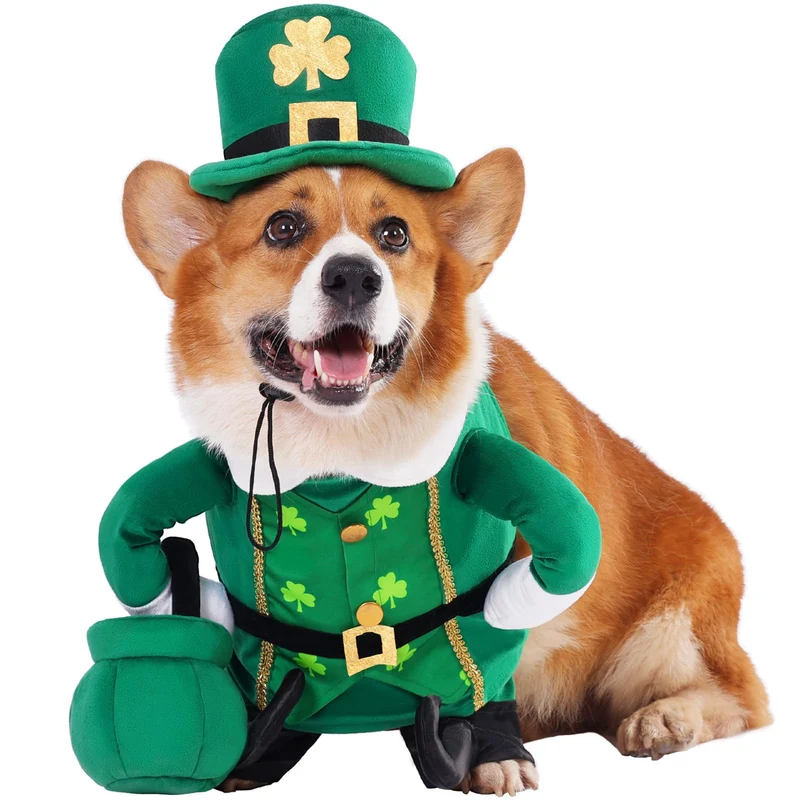Costume Lutin Saint-Patrick pour Chien et Chat – Aotiooy, Chapeau Ajustable et Pot d’Or