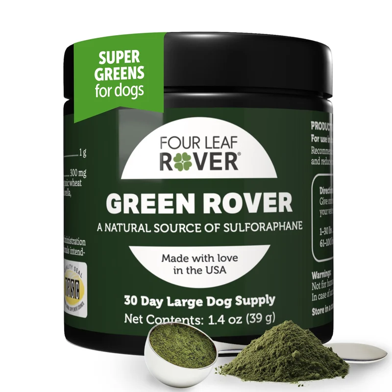 FOUR LEAF ROVER Green Rover – Poudre Verte pour Chiens avec Brocoli Biologique, Spiruline Fermentée et Algues Marines, Formulé par un Vétérinaire