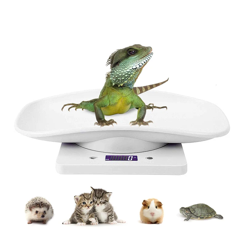 Balance numérique DWSFADA pour animaux et cuisine — précision en g/oz/ml/lb