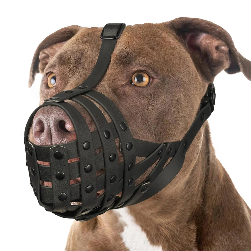 Mayerzon Muselière Panier pour Grands Chiens – Pitbull et Rottweiler, Ajustable et Légère