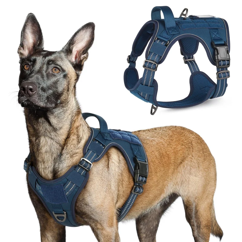 Rabbitgoo Harnais Tactique pour Chien Grand – Poignée, MOLLE et Boucles Rapides (Bleu)