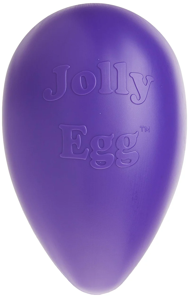 Jolly Pets Jolly Egg – Jouet chien œuf violet 12 pouces (Grand)