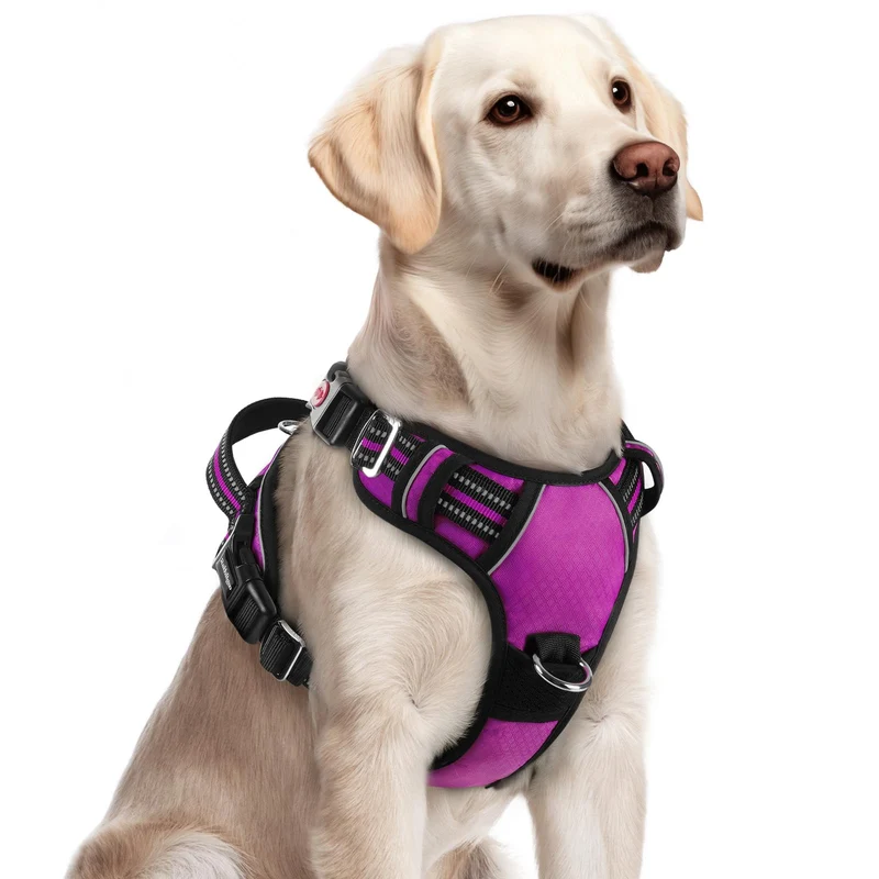Rabbitgoo Harnais Chien Grand – Pas de Traction, 3 Boucles, Poignee et Reflecteurs, Violet, Taille L