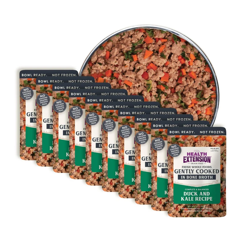 Health Extension Canard et Kale – Repas pour chien prêt à servir, qualité humaine, 3 oz, pack de 10