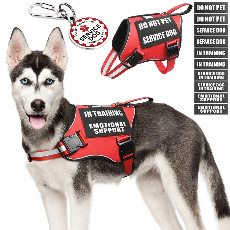 MOOGROU Gilet de service pour chien – harnais avec badge, patches et poignée, taille moyenne
