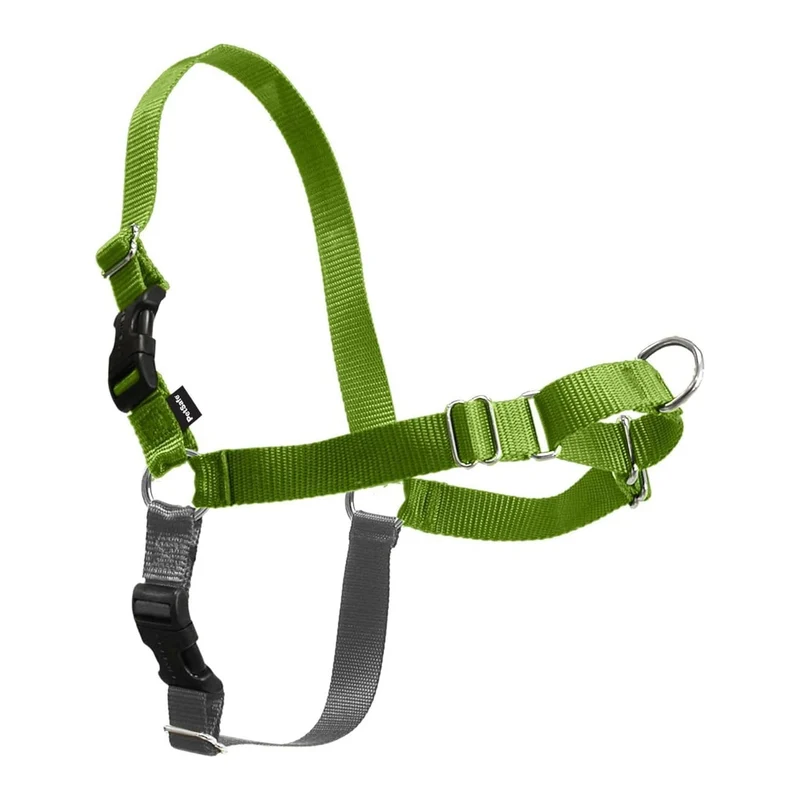 PetSafe Easy Walk Harnais pour Chien – Pas de Tirage, Attache Devant, Boucle Martingale Frontale – Confort Léger Vert Pomme/Gris
