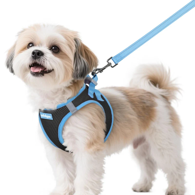rabbitgoo Harnais pour Chien Petit avec Laisse – Enfilage Facile, Respirant, Réfléchissant, Noir & Bleu Clair, Taille S