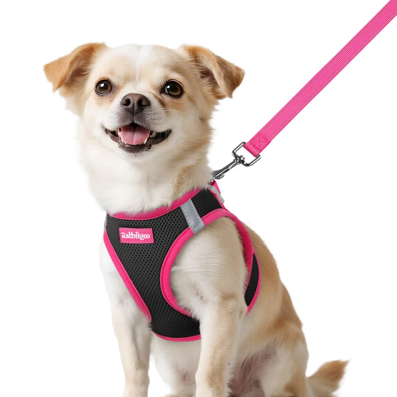 rabbitgoo Harnais pour chien XXS et Laisse – Étape-in, Respirant, Bandes réfléchissantes, Noir et Rose