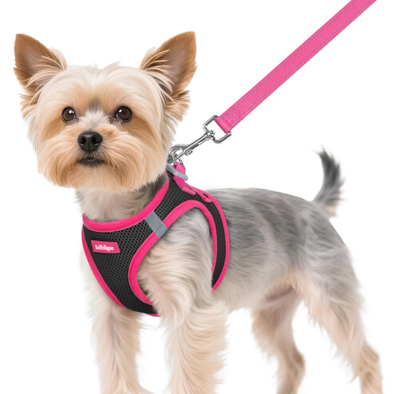 rabbitgoo Harnais pour Chien XS avec Laisse — Design à enfiler, Respirant et Réfléchissant (Noir & Rose)