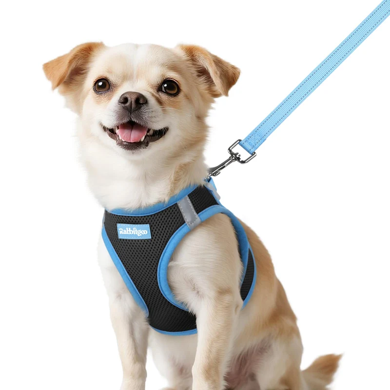 Rabbitgoo Harnais pour Chien XXS avec Laisse – Harnais Etape, Respirant et Refléchissant (Noir & Bleu Clair)