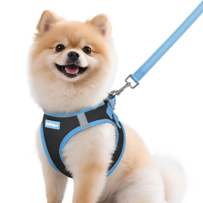 rabbitgoo Harnais pour chien petit et laisse – Enfiler, respirant, sécurité réfléchissante, noir & bleu clair, taille M