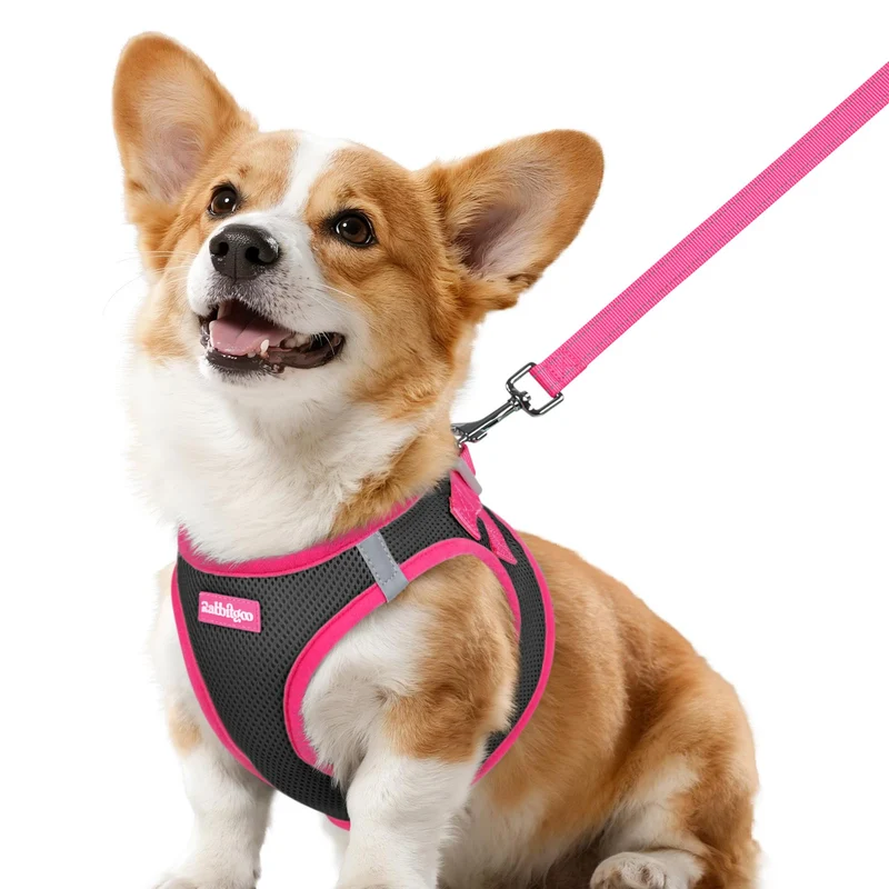 Harnais Rabbitgoo pour chien petit + laisse – Step-in respirant et réfléchissant (noir & rose)