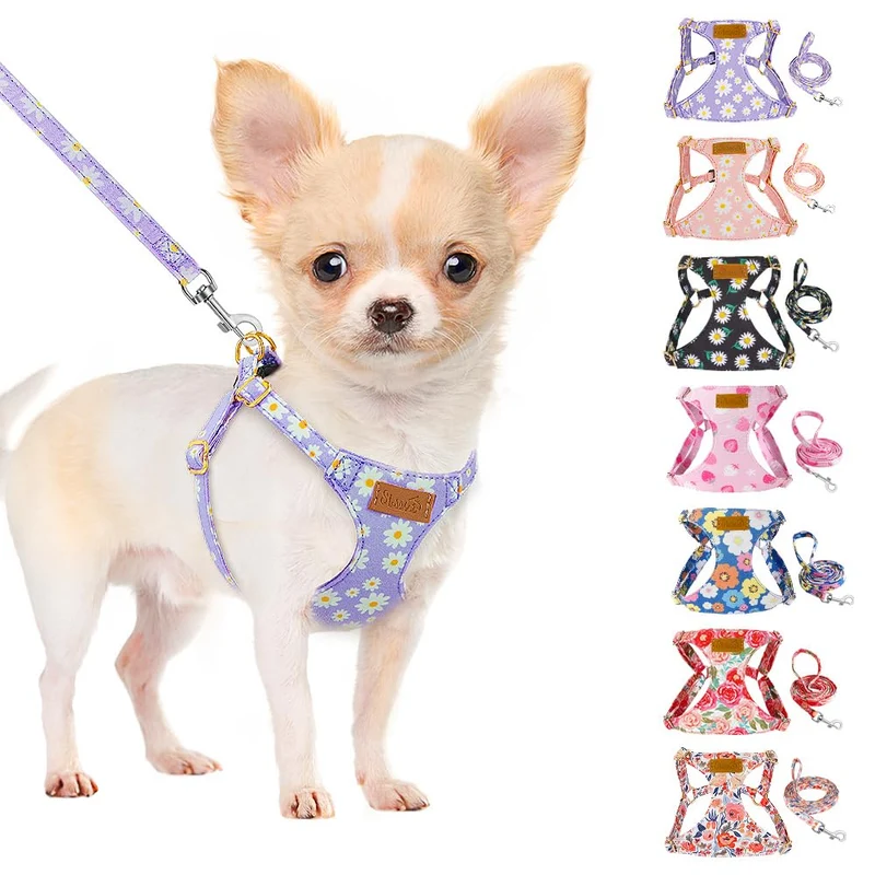 SlowTon Harnais Chien XXS — Ensemble Harnais et Laisse Léger, Sans Traction, Motif Violet Marguerite