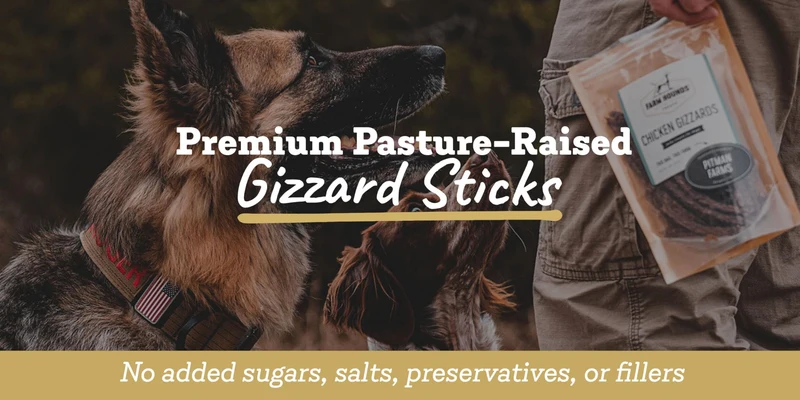 Farm Hounds – Gésiers de Canard, Friandises Sèches Naturelles pour Chiens – Taille Cassable – Sans Additifs – Fabriqué aux États-Unis – 4oz