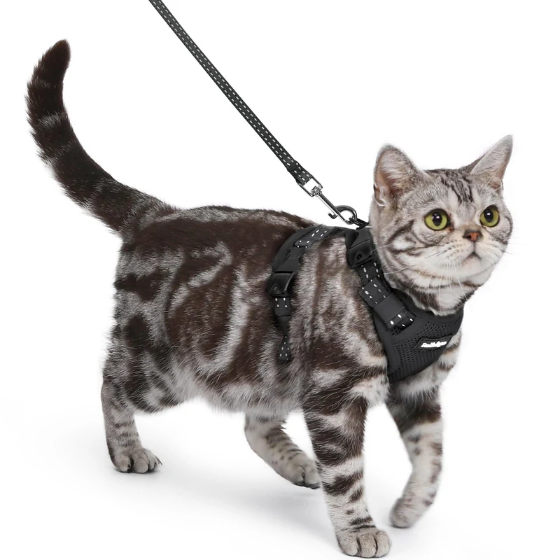 Rabbitgoo Harnais et Laisse pour Chat — Anti-Fuite, 3 Boucles Ajustables, Confort Doux (Petite, Noir)