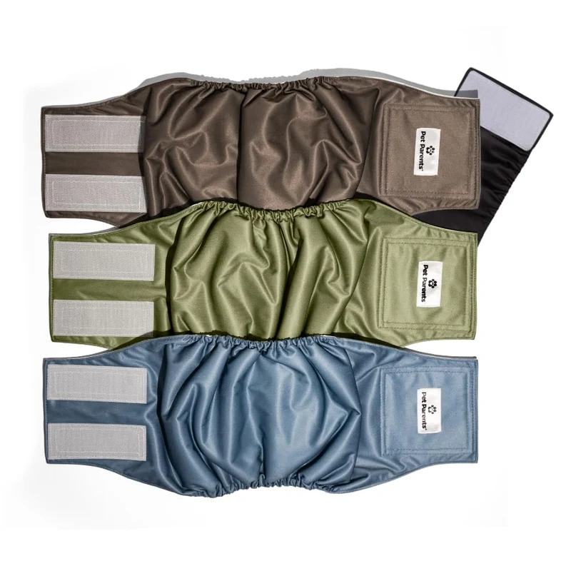 Pet Parents® Bandes ventrales lavables pour chien mâle (trois-paquets) + Extendrs® – Couches premium pour chien mâle (Taille Moyenne, Koda)