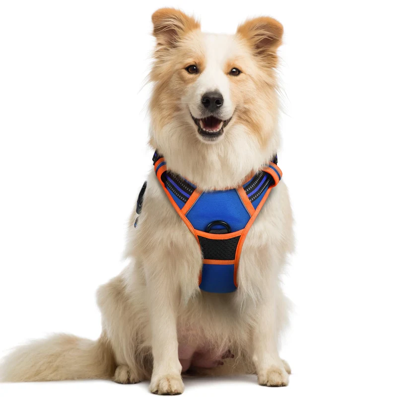 rabbitgoo Harnais chien sans tirage – 2 attaches, rembourré et réfléchissant – Bleu & Orange – Taille M