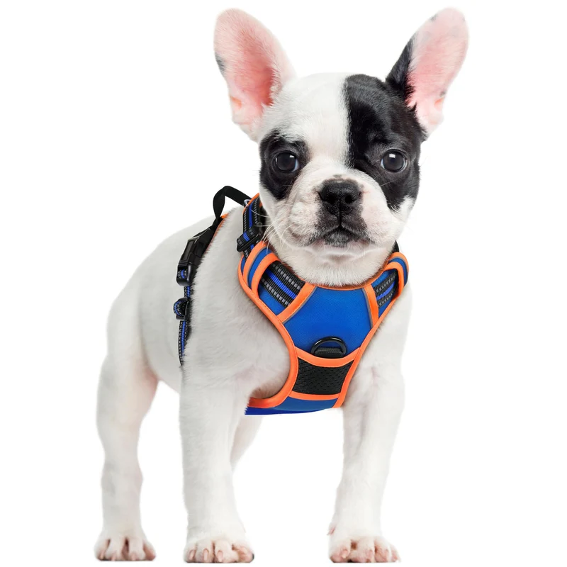 Rabbitgoo Harnais Chien Sans Tirage – 2 Attaches, Doux Rembourrage, Bandes Réfléchissantes, Poignée | Taille S | Bleu et Orange