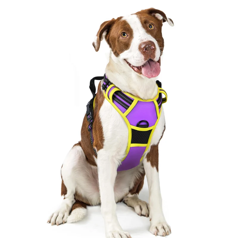 Rabbitgoo Harnais Chien Sans Tirage – 2 Attaches, Rembourré, Réfléchissant, Poignée de Contrôle, Taille L, Violet et Jaune