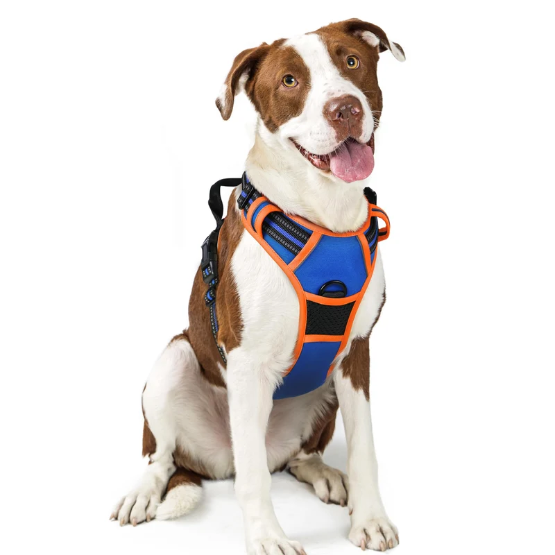 rabbitgoo Harnais pour Chien Sans Tirage – 2 Attaches, Doux Rembourrage, Contrôle Facile, Grand Chien, Bleu & Orange, Taille L