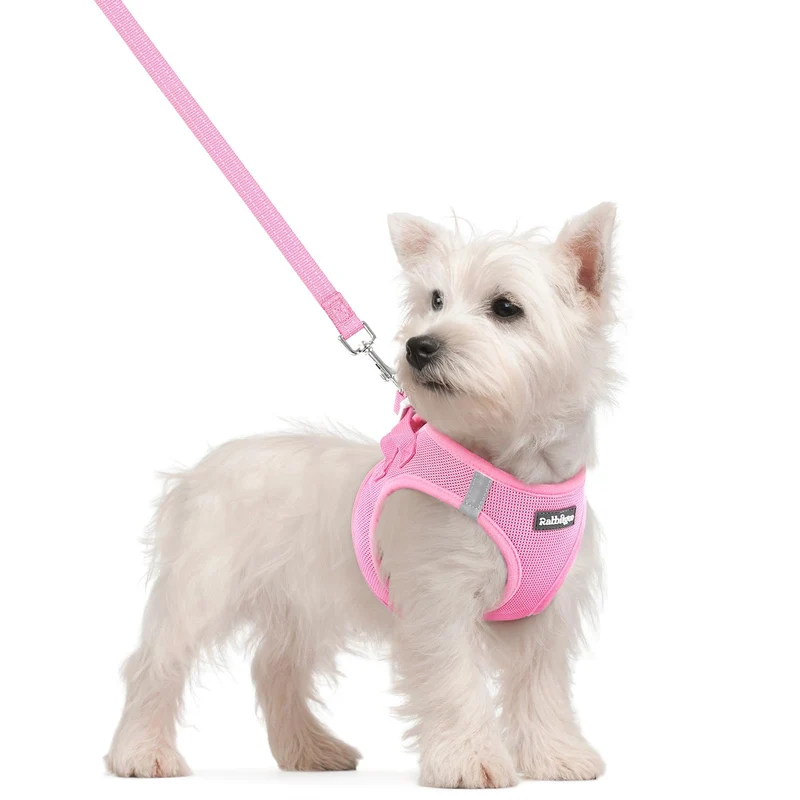 rabbitgoo Harnais pour Chien Petit à Enfiler avec Laisse – Mesh Respirant, Bandes Réfléchissantes, Rose Clair (S)