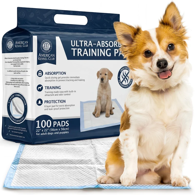 Tapis d’entraînement AKC pour chiots – Absorption rapide, sans parfum, 22 x 22 cm (100 unités)