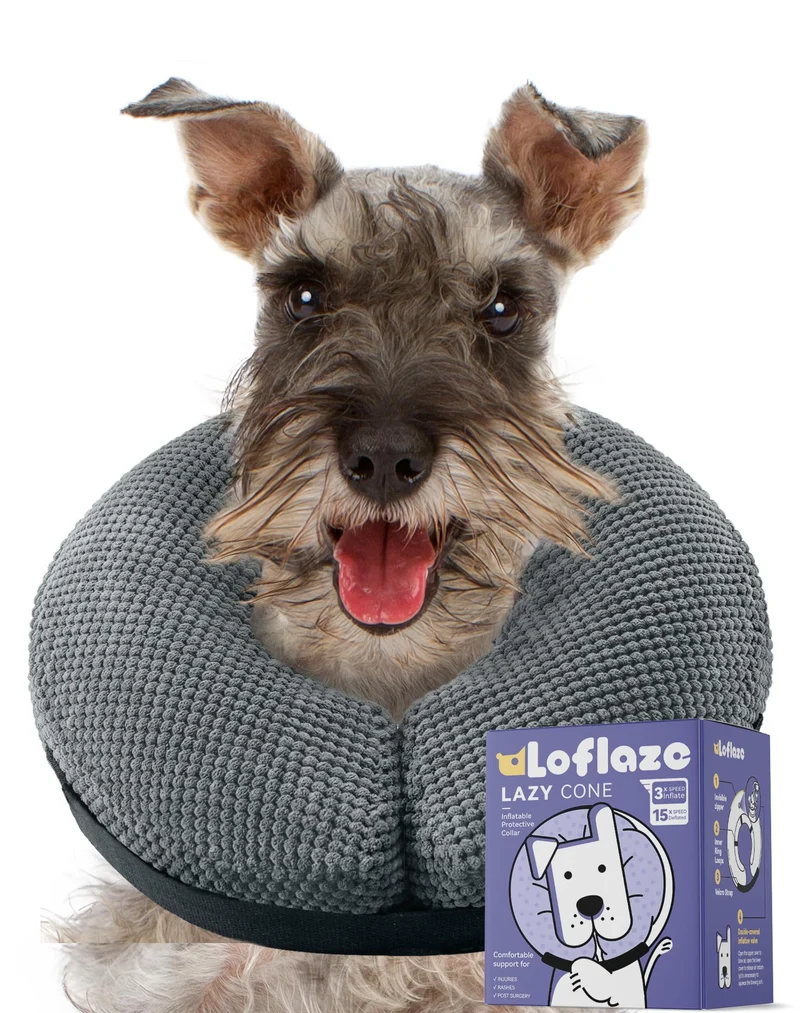 Loflaze Collier Donut Gonflable Gris M+ – Récupération Douce pour Chiens et Chats