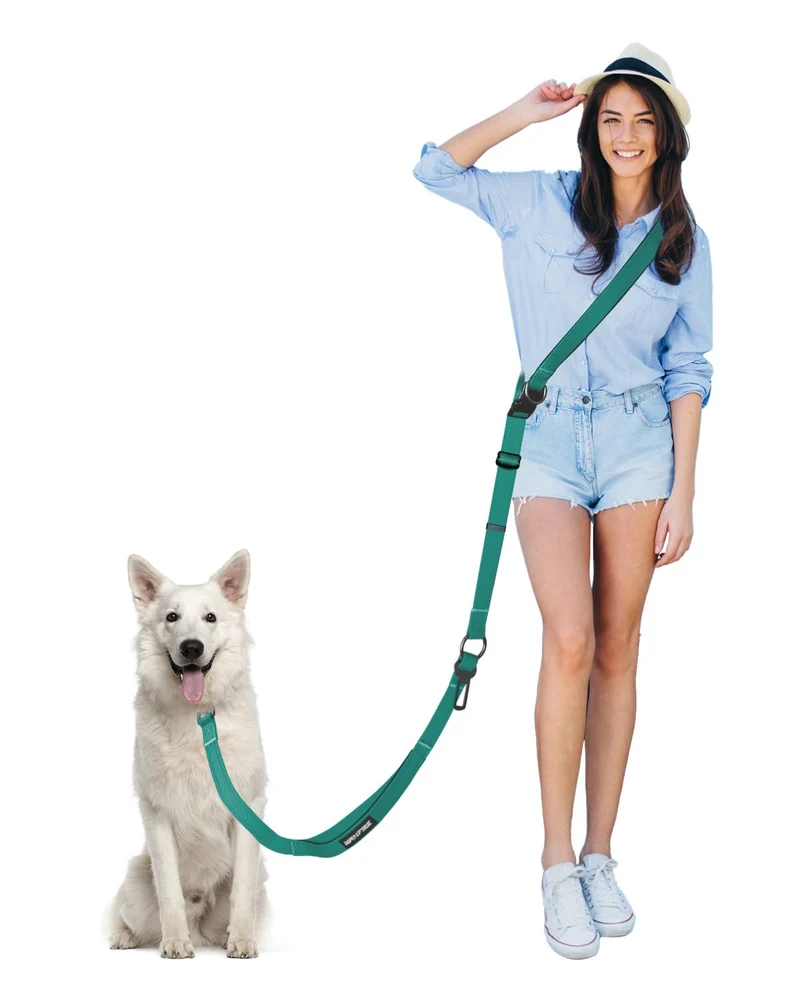 WANFIRE Laisse mains-libres pour chien – sécurité voiture, coutures réfléchissantes, confort (vert)