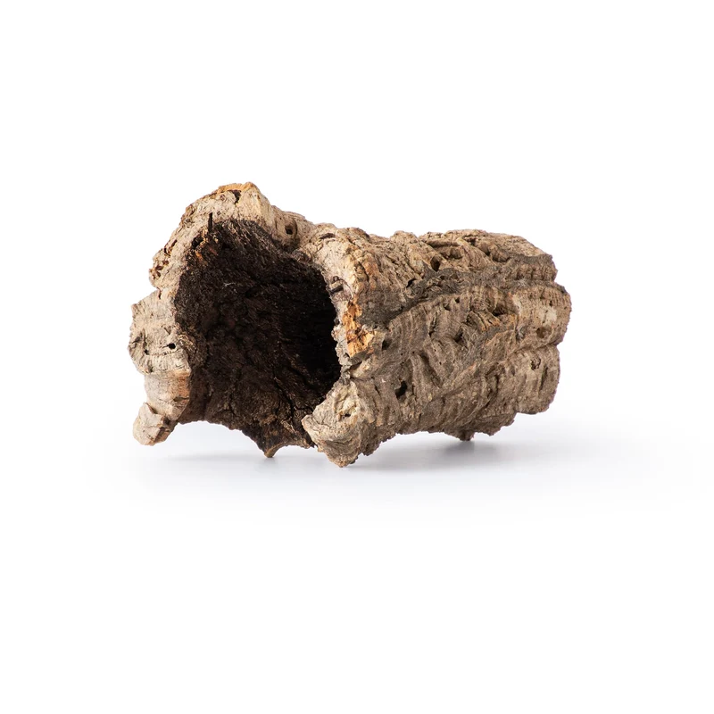 Galápagos (05505) Écorce de Liège Naturelle pour Reptiles – Idéale pour Dragons Barbus, Serpents et Geckos – Accessoire d'Escalade pour Terrariums, Bassins à Tortues et Cages d'Oiseaux – Tube 7–9 po – Naturel