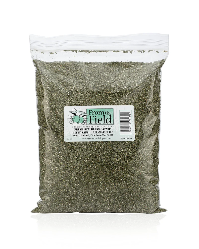 From The Field | Cataire finement sans tiges – Catnip premium cultivé aux États‑Unis pour jouets et jeux | Frais, puissant, non toxique | Sûr pour chatons et chats | Sachet refermable 284 g