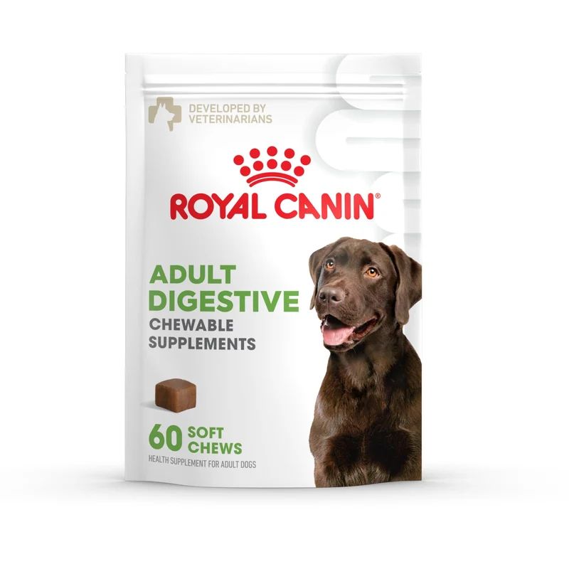 ROYAL CANIN – Supplément Digestif pour Chiens Adultes, Friandises Molles, 60 Pièces
