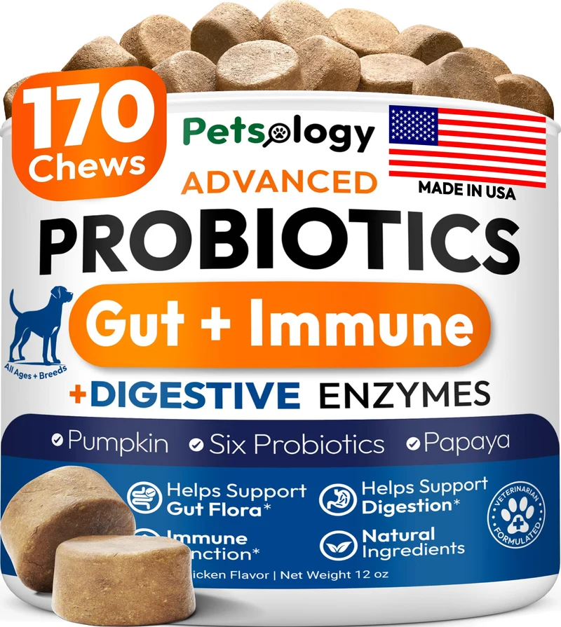 Petsology Probiotiques pour chiens – 170 friandises probiotiques avec enzymes digestives & prébiotiques