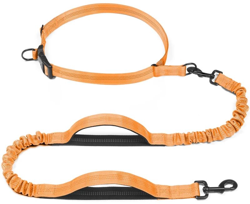 iYoShop Laisse Rétractable Mains Libres avec Ceinture (Bungee) — Double Poignée pour Chiens 25-150 lb, Orange