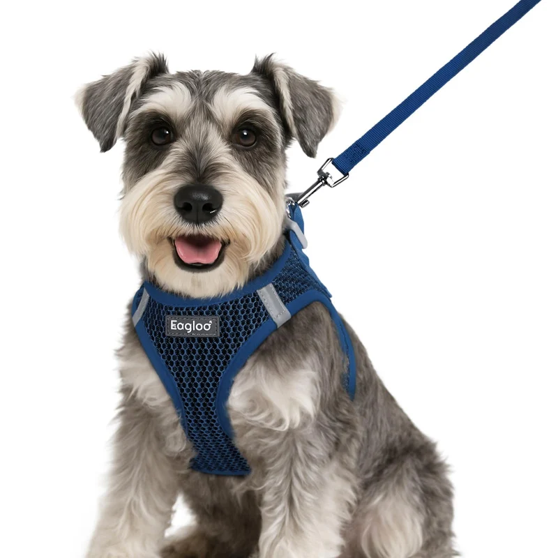 Harnais et Laisse Eagloo pour Petit Chien — Mesh Respirant et Réfléchi