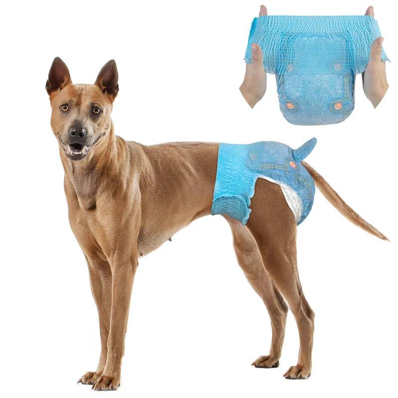 Dono Couches Chien Femelle – Pour Grands Chiens, Protection 360°, Étanches et Ultra-Absorbantes