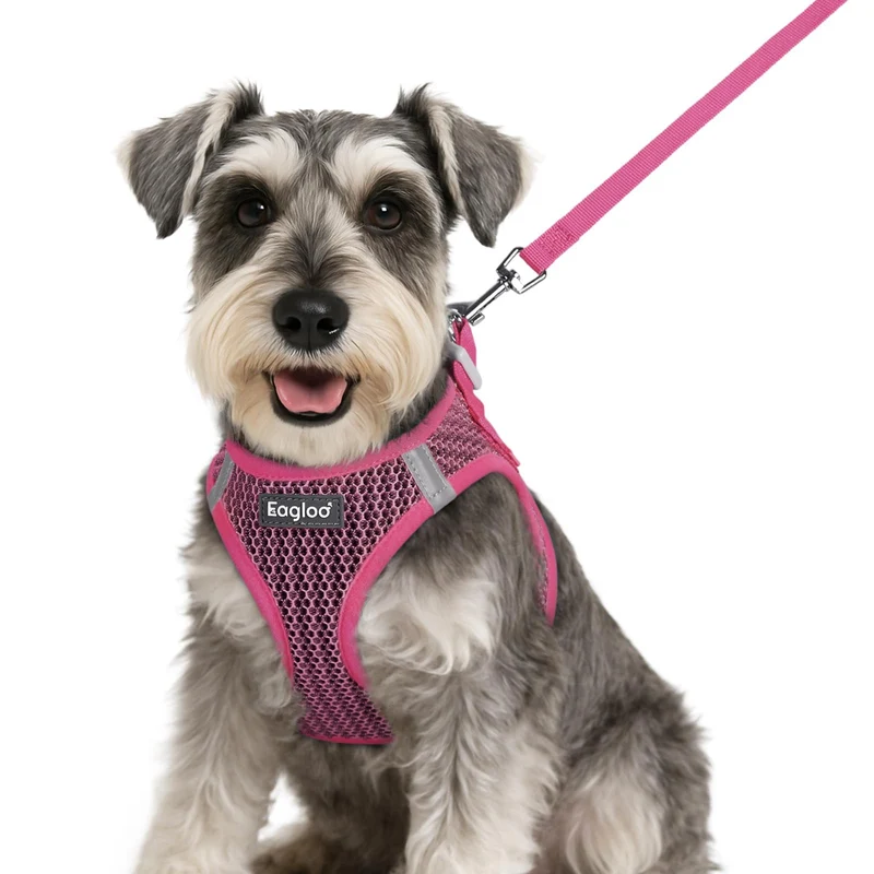 Harnais et Laisse Eagloo pour Petit Chien – Step-in, Mesh Respirant, Réfléchissant, Rose, Taille S
