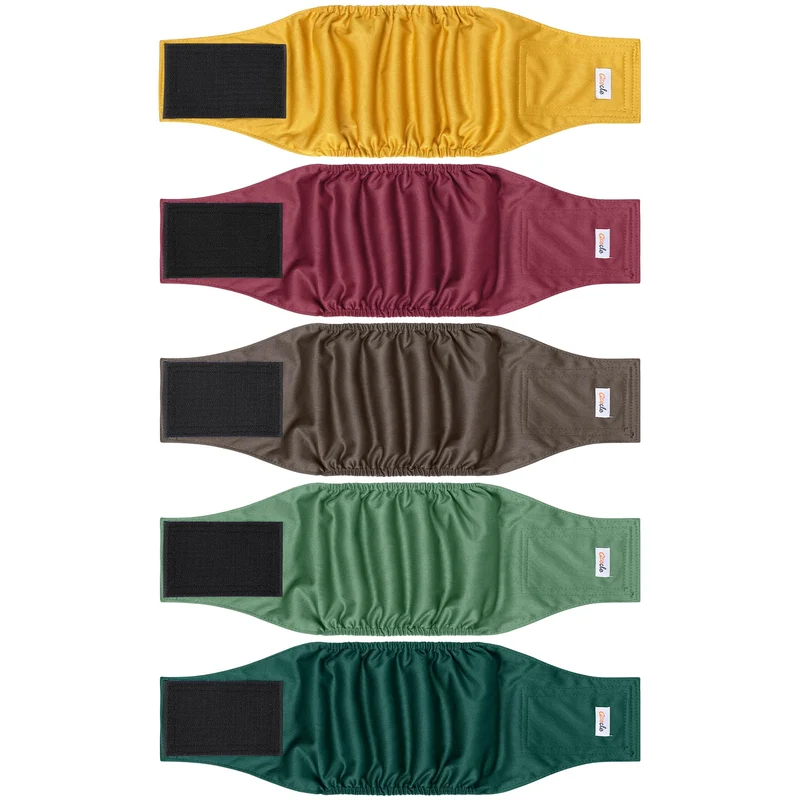 Grecle - Lot de 5 Bandes Ventérales pour Chien Mâle Réutilisables, Absorption Élevée