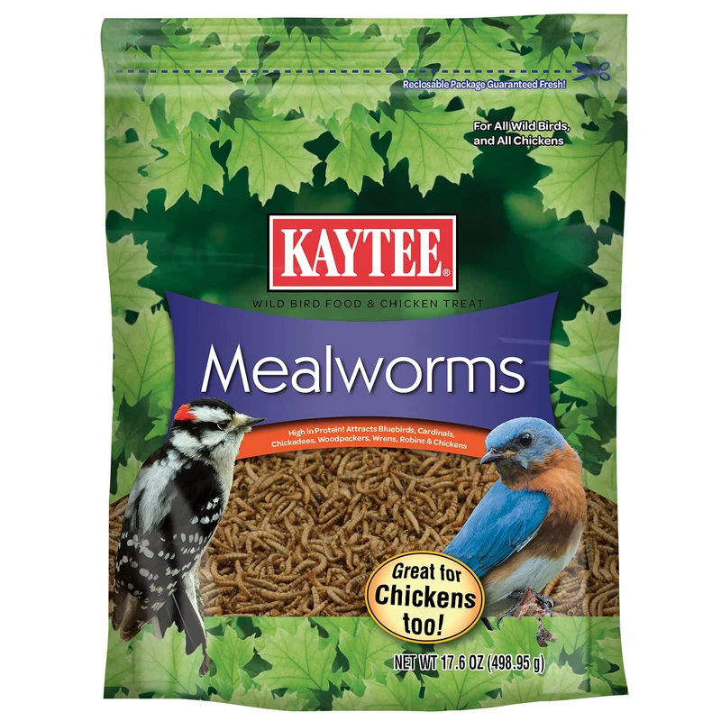 Kaytee Larves de Farine Séchées – Nourriture Protéinée pour Oiseaux Sauvages, 500 g