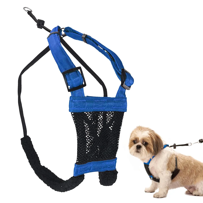 Sporn Harnais Anti-Traction pour Petits Chiens – Confort Réglable, Sans Étranglement, Bleu