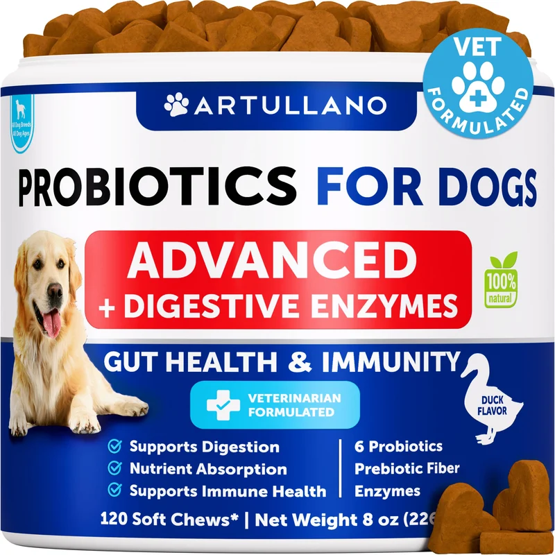 Artullano Probiotiques pour chiens – Santé intestinale et immunité (120 bouchées)