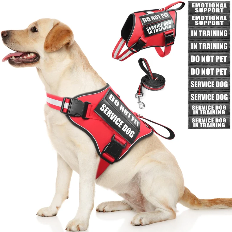 MOOGROU Harnais et Laisse pour Chien d'Aide – Réglable et Réfléchissant (Rouge, Taille L)