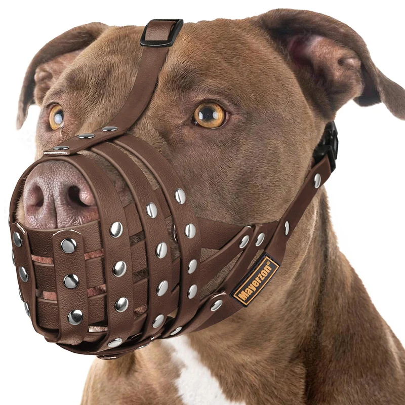 Muselière Mayerzon pour grands chiens (Pitbull, Rottweiler) – Confort et sécurité