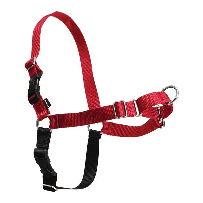 PetSafe Easy Walk Harnais pour Chiens – Anti-Tirage, Attache Avant, Confort Léger – Rouge/Noir