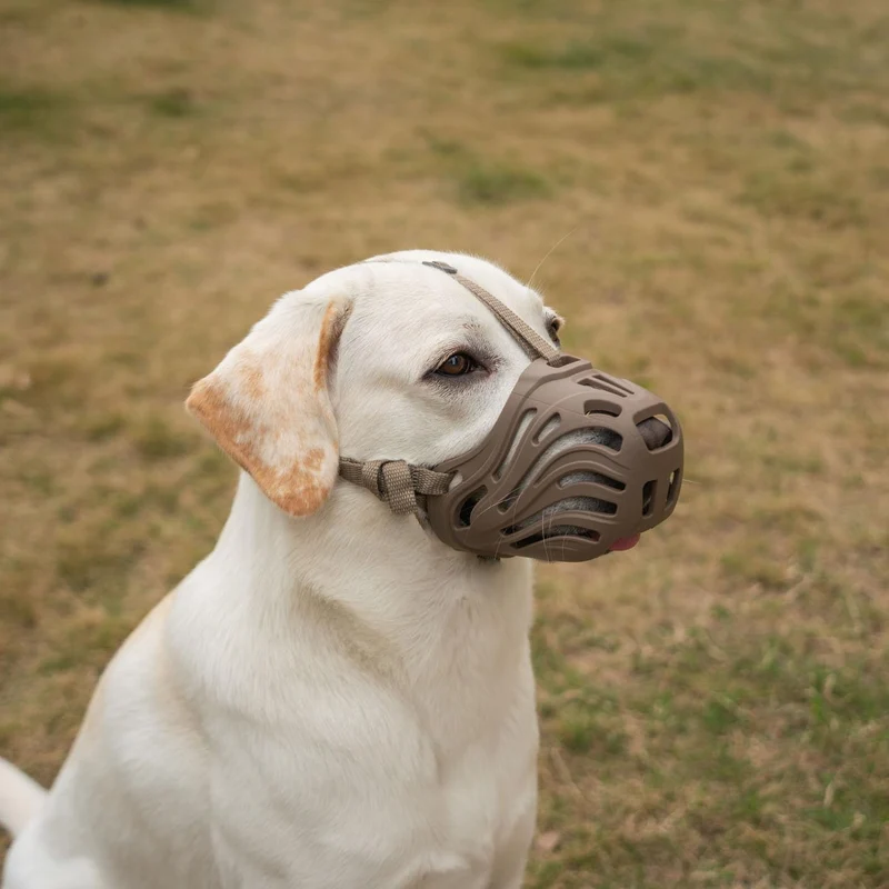 Diketone Muserolle pour chien grande taille – Silicone Café (M-5)