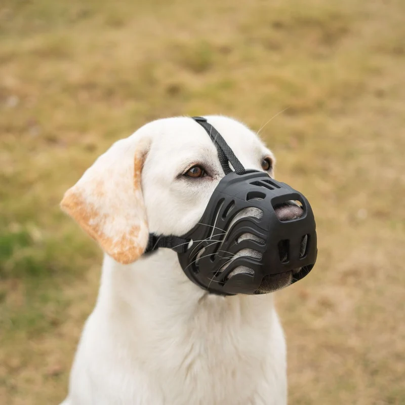Diketone Muzzle Chien Grand en Silicone – Taille L, Noir | Pant et Boire en Sécurité