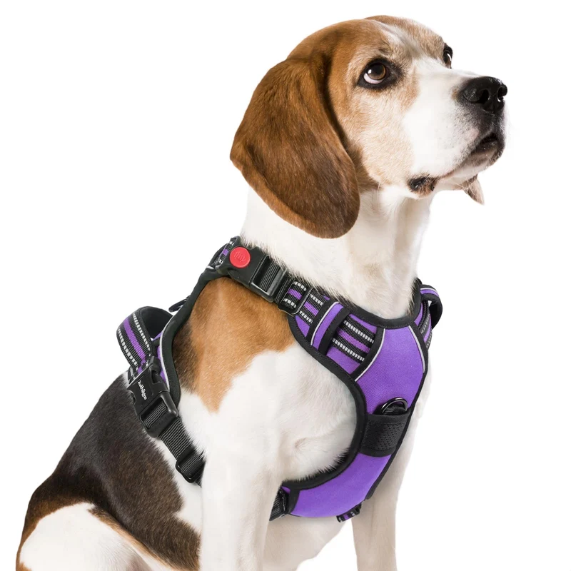 Rabbitgoo Harnais Chien Moyen Anti-Tirage – 3 Boucles, Poignée, Réfléchi Violet, Taille M
