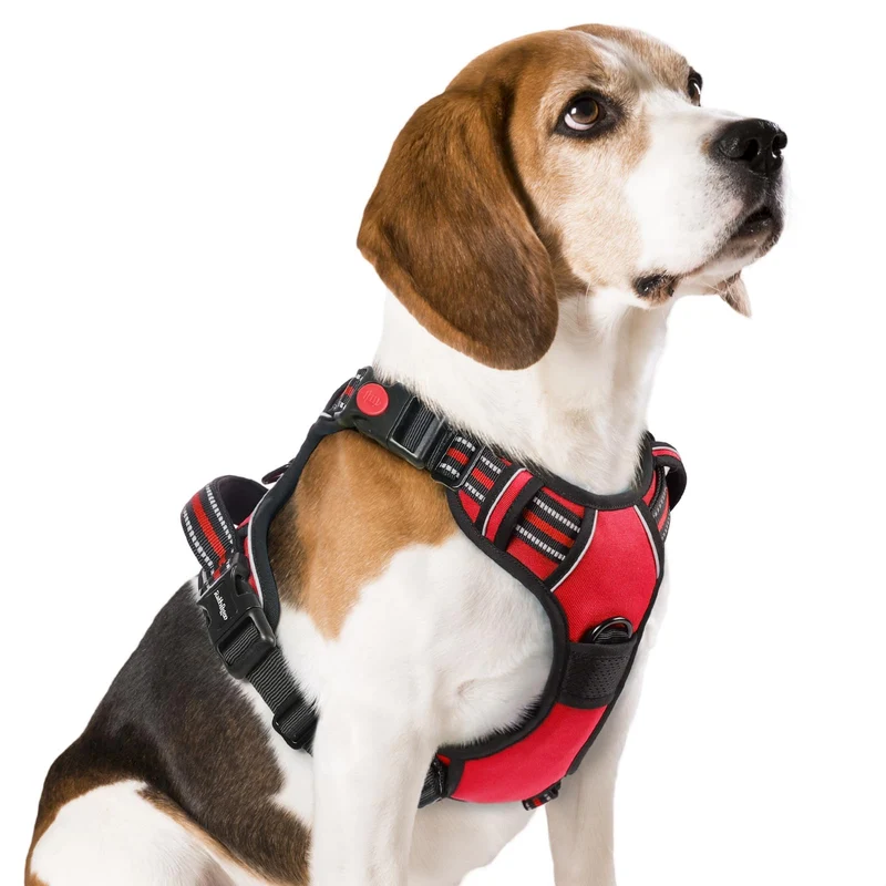 Rabbitgoo Harnais anti-tirage pour chien moyen – 3 boucles, sangles ajustables, poignée, réfléchissant