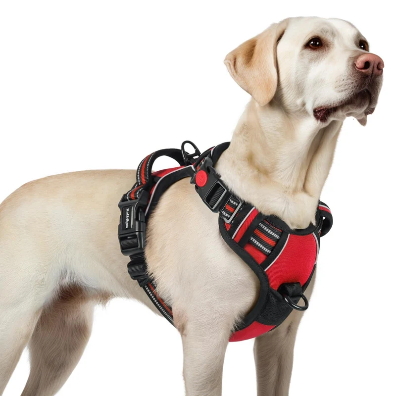rabbitgoo Harnais pour chien grande taille – sans tirage, 3 boucles, rembourré, poignée de contrôle, visibilité réfléchissante